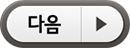 다음